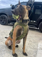 Operation Good Boy Military-Grade Camouflage Bazooka Ball - Natural Rubber Chew Toy for Patriotic Dogs - Massages Gums, and Provides Hours of Interactive Fun, Mental Stimulation, and Durable Chewing