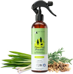 kin+kind Plant-Based Flea & Tick Spray for Dogs and Cats with Lemongrass - Essential for Flea & Tick Treatment - Flea Spray for Dogs and Cats - Pet Supplies