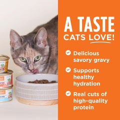 Instinct Flaked Entrée Wet Canned Cat Food - Variety Pack