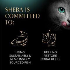 Sheba Perfect Portions Wet Cat Food Cuts in Gravy Variety Pack, with Sustainable Tuna and with Sustainable Salmon, 2.6 oz. Twin-Pack Trays (12 Count, 24 Servings) (Pack of 2)