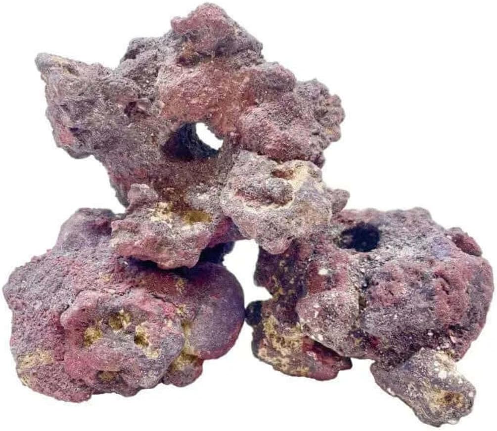 CaribSea LifeRock Fraggerz – 16 lb – Coral Frag Placement Rock with Pre-Drilled Plug Holes – Natural Aragonite – Easy Coral Isolation and Repositioning