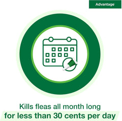 Advantage™ for Small Cats – 2-Month Supply