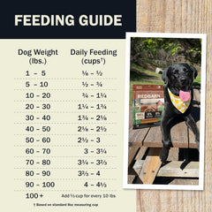 Redbarn® Powerfood Air Dried Dog Food – Digestive Gut Health (Chicken & Turkey, 2 lb)