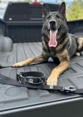 Operation Good Boy Tactical Collar (Green) - Durable & Strong - Includes Quick Release Buckle and Military Grade Handle - Veteran Owned and Operated