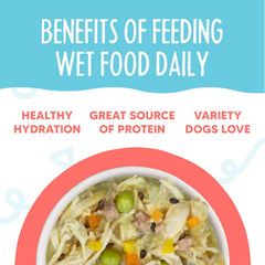 Weruva Meals 'n More Natural Wet Dog Food, Jammin' Salmon Plus Skin & Coat Health (Pack of 12)
