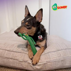 Multipet Gumby Latex Dog Toy - Squeaky Toy for All Dogs - Easy-to-Clean Dog Squeaky Toys - for Cuddling, Chewing & Playing - Cute Pet Toy (9", Green)