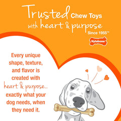Nylabone Original & Textured Bone Power Chew Toy for Dogs, Durable & Tough Dog Toys for Aggressive Chewers, Basted Blast Bacon and Steak Flavor