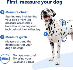 PetSafe Easy Walk No-Pull Dog Harness - The Ultimate Harness to Help Stop Pulling - Take Control & Teach Better Leash Manners - Helps Prevent Pets Pulling on Walks, Medium/Large