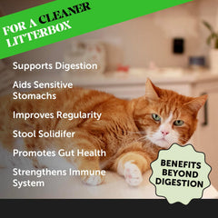 Pet Honesty Digestive Probiotic Powder Supplement for Cats - Digestive Support + Gut Health, Probiotic for Cats, Cat Constipation Relief, Bowel Support, Immunity & Overall Health - 120 Scoops