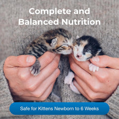 Pet-Ag KMR Kitten Milk Replacer Liquid - 11 oz - Ready-to-Feed Kitten Formula with Vitamins for Kittens Newborn to Six Weeks Old - Easy to Digest