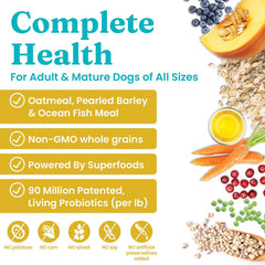 Solid Gold Dry Dog Food for Adult & Senior Dogs - with Whole Grains, Oatmeal, Pearled Barley, & Fish - Potato Free, High Fiber Adult Dog Food Dry Kibble for Sensitive Stomach & Immune Support 4-lb