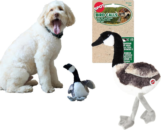 SPOT Bird Calls Plush Dog Toy with Realistic Bird Sound – 12" Sound Chip Toy for Dogs, One of Three Assorted Styles, Engaging Indoor Play for All Breeds