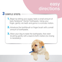 Nylabone Advanced Oral Care Puppy Dental Kit Puppy