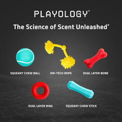 Playology Dual Layer Ring Toy for Large to X-Large Dogs 50lbs & up | Engaging All-Natural Beef Scented Durable Dog Chew Toy for Power Chewers | Easy to Clean, Interactive & Non-Toxic