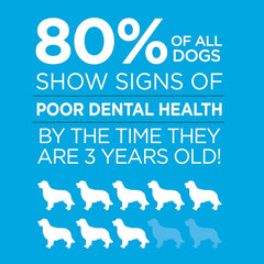 Brush Free Oral Gel for Dogs | Vet Formulated Dental Care with ProLong Technology | Cleans Teeth and Gums