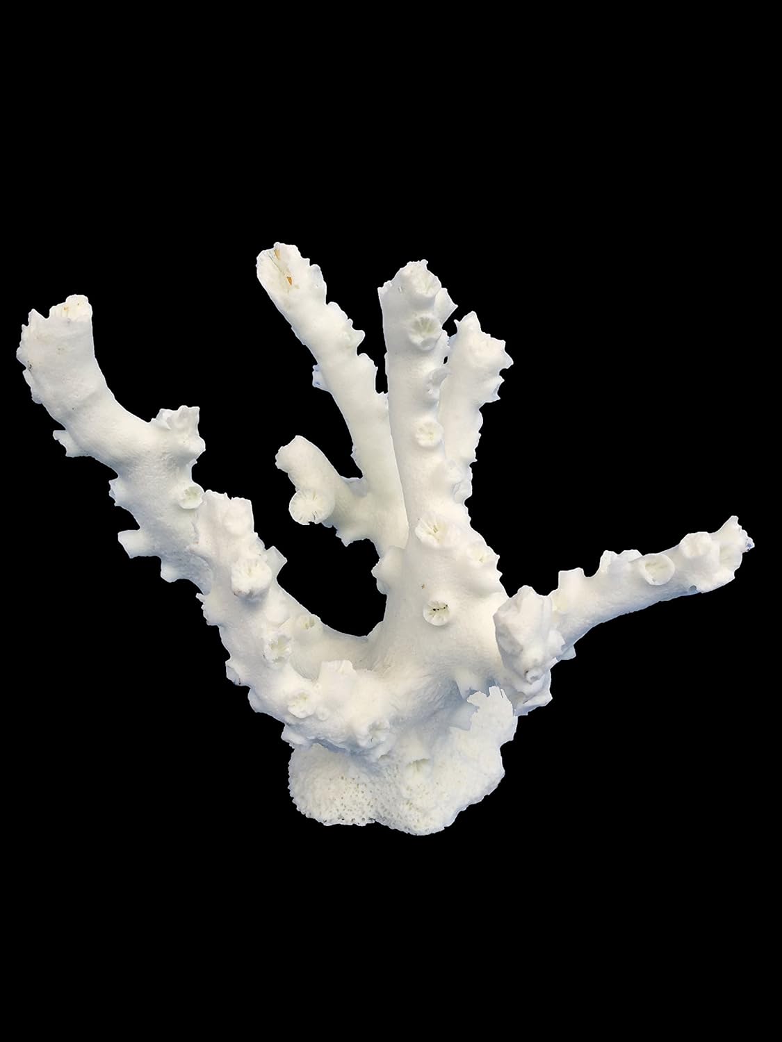 Coral Replica Octopus Coral - Sm
