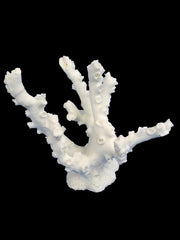 Coral Replica Octopus Coral - Sm