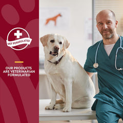 NaturVet Bladder Support Plus Cranberry for Dogs, 60 ct Soft Chews, Made in The USA with Globally Source Ingredients