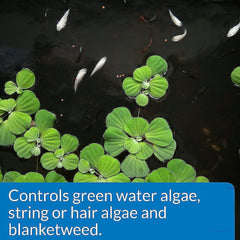 API Pondcare Algaefix Alage Control