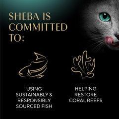 Sheba Perfect Portions Wet Cat Food Pate Gourmet Chicken and Tuna Entree, 2.6 oz. Twin-Pack Trays (24 Count, 48 Servings)