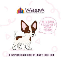 Weruva Meals 'n More Natural Wet Dog Food, Belly Belly Nice! Digestive Support Variety Pack(Pack of 10)