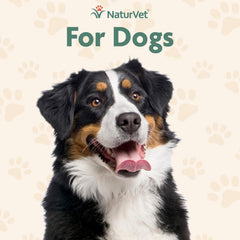 NaturVet Advanced Probiotics & Enzymes Plus Vet Strength PB6 Probiotic Soft Chews for Dogs, 5.9 oz., Count of 70, 70 CT