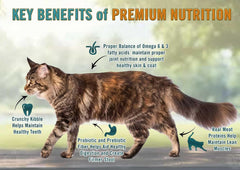 Chicken Soup for the Soul All Natural Premium Adult Dry Cat Food, Real Meat First Ingredient, No By-Products, Supports Heart, Gut & Immune Health, Chicken & Brown Rice