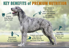 Chicken Soup for the Soul All Natural Premium Large Breed Adult Dry Dog Food, Real Meat First Ingredient, No By-Products, Supports Heart, Gut & Immune Health, Chicken, Turkey & Brown Rice