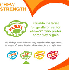 Nylabone Textured Dental Bone Flexi Chew Toy for Dogs, Dog Toys for Moderate Chewers, Chicken Flavor