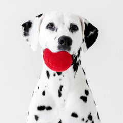 Playology Plush Squeaky Ball , All Natural Beef Scented Plush Dog Toy