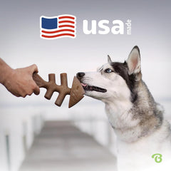 Benebone Fishbone Durable Dog Chew Toy for Aggressive Chewers, Real Fish, Made in USA