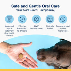 ProDen PlaqueOff Soft Chews with Organic Kelp - for Small & Medium Breed Dogs & Cats - Supports Normal, Healthy Teeth, Gums, and Breath Odor in Dogs & Cats