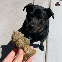 Redbarn Chew-A-Bulls Hydrant