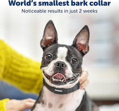 PetSafe NanoBark Collar - World's Smallest Bark Collar for Small and Medium Dogs, 10 Levels of Static Stimulation, Waterproof and Rechargeable Anti-Bark Training, Comfortable and Low-Profile Design