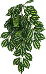Multi Pet 48593302: Komodo Two-Toned Leaf Hanging Plant, Sm
