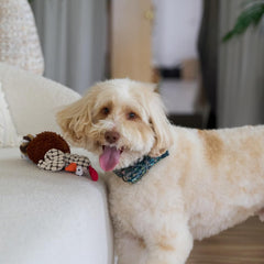 SPOT Gigglers Chicken Dog Toy with Giggle Sound, Textured Plush Tug Toy with Rope Legs, 12" for Small and Medium Dog Breeds