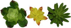 Komodo Reptile Terrarium Succulent 3PK Yellow/Green Plants | Natural Looking Artificial Aquarium Ornament & Habitat Decoration Accessory with Weighted Base