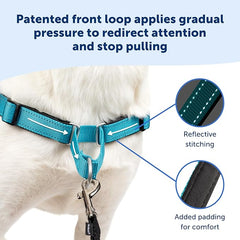 PetSafe Easy Walk Deluxe Dog Harness, No Pull Dog Harness – Perfect for Leash & Harness Training – Stops Pets from Pulling and Choking on Walks – Large