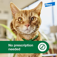 Advantage XD Cat Flea Prevention & Treatment For Cats | 2-Topical Doses, 2-Months of Protection Per Dose