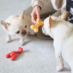 Nylabone Lobster Power Chew Toy for Dogs, Dog Toys for Aggressive Chewers, Filet Mignon Flavor, Small - Up to 25 Ibs, 1 Count