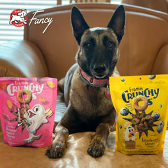 Fromm Crunchy Os Blueberry Blasts Dog Treats - Premium Crunchy Dog Treats - Chicken Recipe