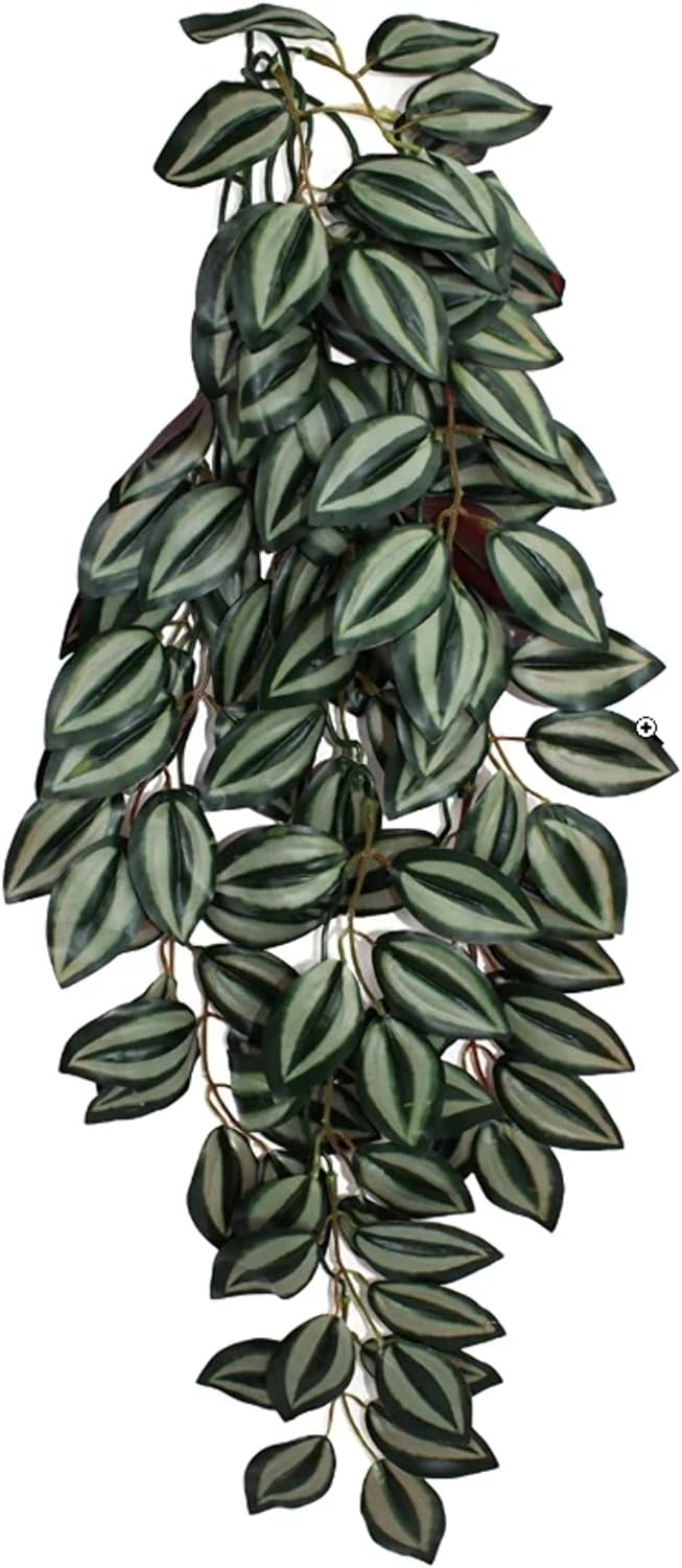 Multi Pet 48593305: Komodo Zebrina Hanging Plant, Lg 26In