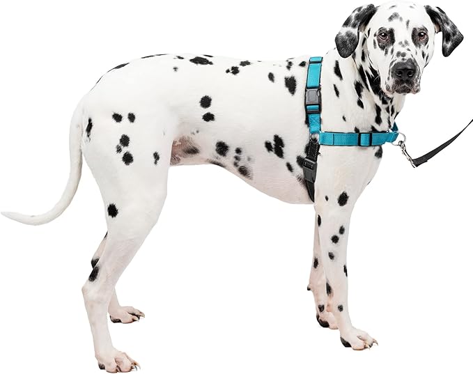 PetSafe Easy Walk Deluxe Dog Harness, No Pull Dog Harness – Perfect for Leash & Harness Training – Stops Pets from Pulling and Choking on Walks – Large