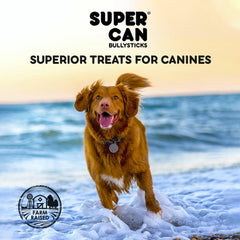 Supercan Bullysticks 6" Beef Braided Gullet Stick 1 ct