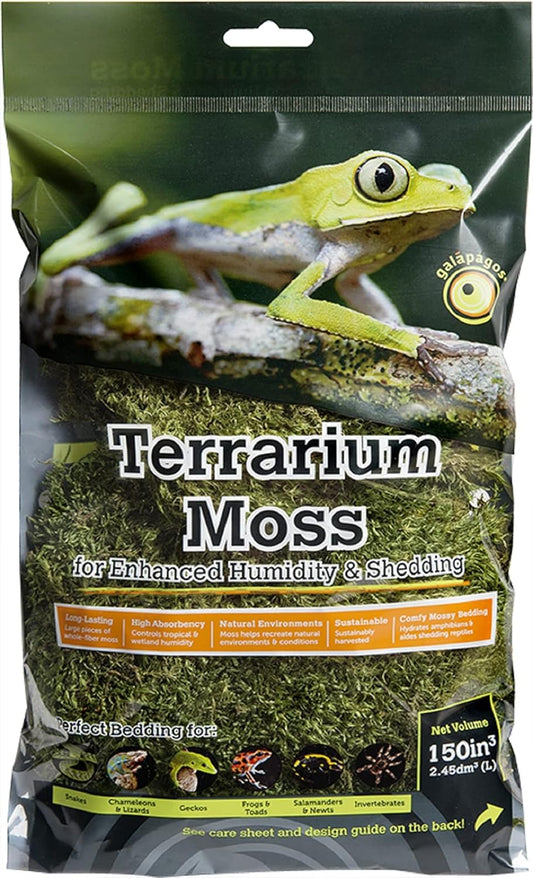 Galápagos Pillow Moss, Fresh Green, Header Bag