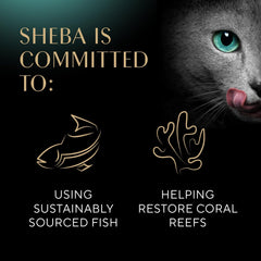 Mars Sheba Perfect Portions Premium Pate Entree Wet Sea Cat Food 2.6-oz