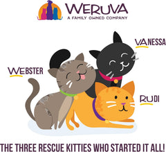 Weruva B.F.F. OMG - Best Feline Friend Oh My Gravy!, Chicken & Beef Be Happy with Chicken & Beef in Gravy