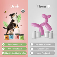 kin+kind Hip+Joint Supplement Dogs & Cats - Organic Healthy Hip+Joint Supplement - Vet Formulated Natural Formula with Organic Turmeric, Black Pepper and Coconut- Large 8oz - Made in USA