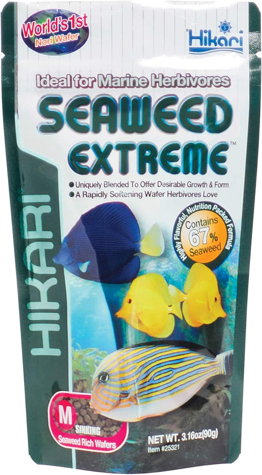 Hikari Seaweed Extreme Wafer Fish Food