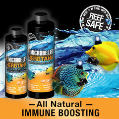 MICROBE-LIFT HERB08 Herbtana for Freshwater and Saltwater Home Aquariums and Fish Tanks